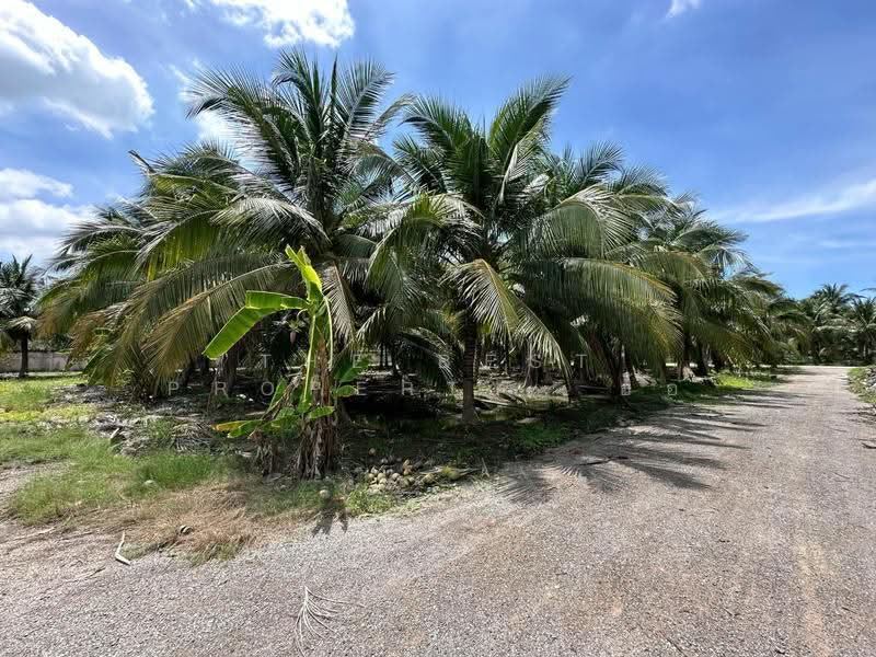 ที่ดินอัมพวา สมุทรสงคราม, Samut Songkhram, Plai Phongphang, Amphawa, Samut Songkhram, , 7,116 sqm, Land For Sale, by The Best Property อ้อ, 500350548 - DDproperty.com