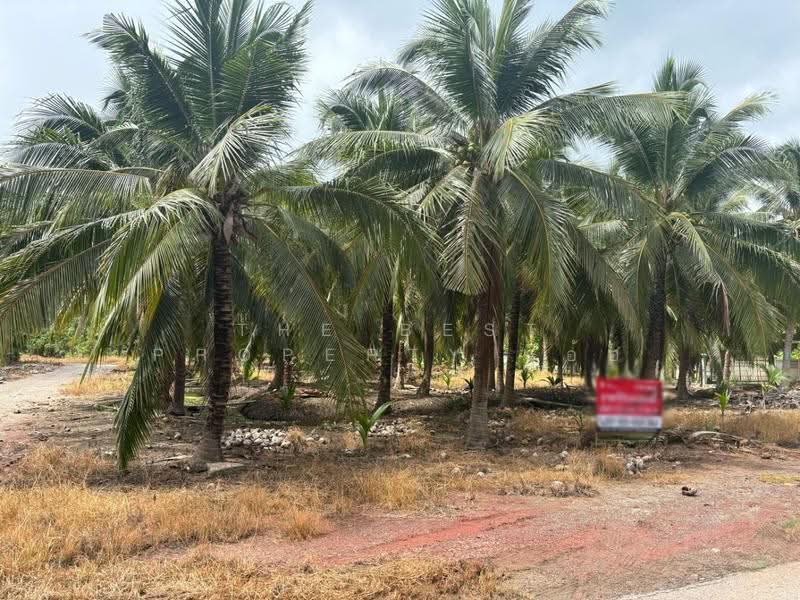 ที่ดินอัมพวา สมุทรสงคราม, Samut Songkhram, Plai Phongphang, Amphawa, Samut Songkhram, , 7,116 sqm, Land For Sale, by The Best Property อ้อ, 500350548 - DDproperty.com