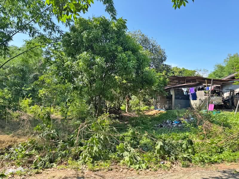 ที่ดินแปลงยาว ฉะเชิงเทรา, Chachoengsao, Hua Samrong, Plaeng Yao, Chachoengsao, , 400 sqm, Land For Sale, by The Best Property ฟ้า, 500350570 - DDproperty.com