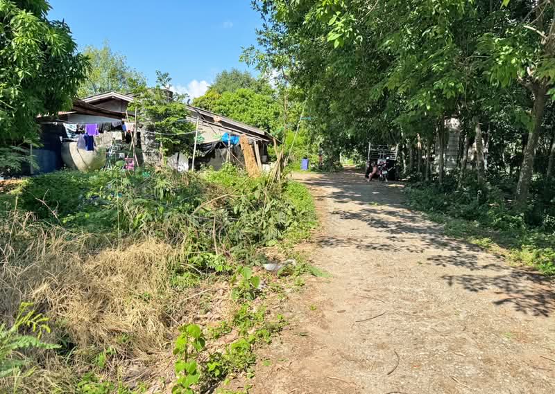 ที่ดินแปลงยาว ฉะเชิงเทรา, ฉะเชิงเทรา, หัวสำโรง, แปลงยาว, ฉะเชิงเทรา, 400 ตร.ม., ที่ดิน ขาย, โดย The Best Property ฟ้า, 500350570 - DDproperty.com