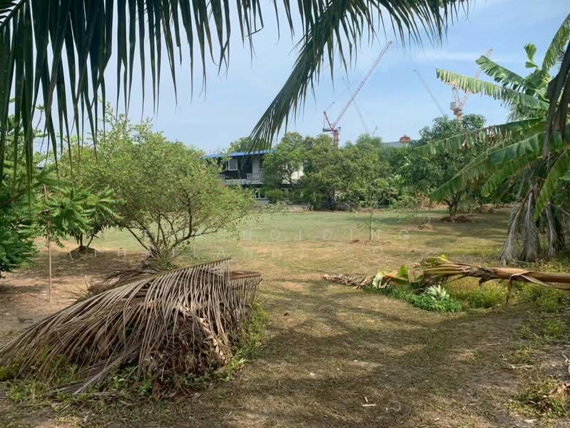 สมุทรสาคร กระทุ่มแบน ถนนเศรษฐกิจ1, Samut Sakhon, Khlong Madua, Krathum Baen, Samut Sakhon, , 4,488 sqm, Land For Sale, by ERA Holding (Thailand) Co., Ltd., 500350650 - DDproperty.com