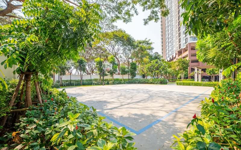 Supalai Monte 2, Chiang Mai, Chiang Mai - Doi Saket Road, Nong Pa Krang, Muang Chiang Mai, Chiang Mai, 1 Bedroom, 33 sqm, Condo For Sale, by Shori Asset Group Co., Ltd., 500350666 - DDproperty.com