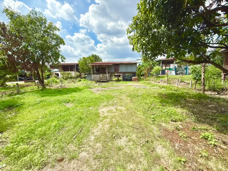 บ้านเดี่ยวพร้อมที่ดินโคกสำโรง ลพบุรี, ลพบุรี, เกาะแก้ว, โคกสำโรง, ลพบุรี, 150 ตร.ม., บ้านเดี่ยว ขาย, โดย The Best Property แอม, 500350679 - DDproperty.com