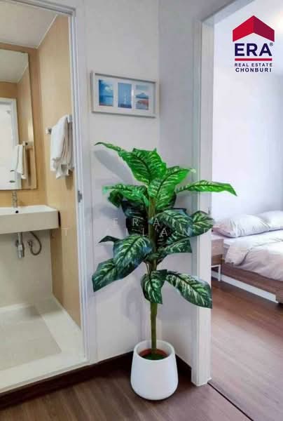 The Trust Condo Amata, Chon Buri (Pattaya), Chon Buri By Pass Road, Nong Mai Daeng, Muang Chon Buri, Chon Buri (Pattaya), 1 Bedroom, 29 sqm, Condo For Sale, by ERA Thailand, 500350710 - DDproperty.com