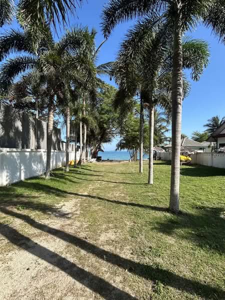 Villa Sunray วิลล่าริมหาด 3 ห้องนอน Bang Por สมุย ติดทะเล จองด่วน, สุราษฎร์ธานี, แม่น้ำ, เกาะสมุย, สุราษฎร์ธานี, 200 ตร.ม., วิลล่า ให้เช่า, โดย Fazwaz (Thailand) Co., Ltd., 500350729 - DDproperty.com