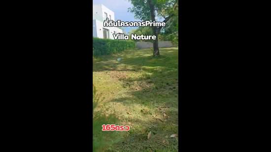 Prime Nature Villa : ไพร์ม เนเจอร์ วิลล่า, สมุทรปราการ, ซอย หมู่บ้านไพร์มเนเจอร์วิลล่า, ราชาเทวะ, บางพลี, สมุทรปราการ, 660 ตร.ม., ที่ดิน ขาย, โดย Thanitcha Kangkasuwanno, 500350733 - DDproperty.com