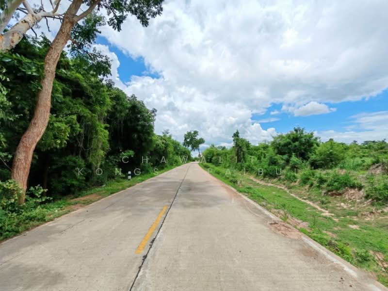 Land for sale in Pak Tho District, Ratchaburi Province, approximately 33 rai, Ratchaburi, ทุ่งหลวง, Thung Luang, Pak Tho, Ratchaburi, , 53,344 sqm, Land For Sale, by CHAWALIT KONGSAKPAIBUL, 500350971 - DDproperty.com