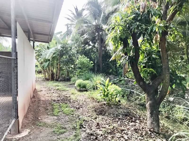 ที่ดินบางคนที สมุทรสงคราม, Samut Songkhram, Bang Krabu, Bang Khon Ti, Samut Songkhram, , 660 sqm, Land For Sale, by The Best Property อ้อ, 500350977 - DDproperty.com