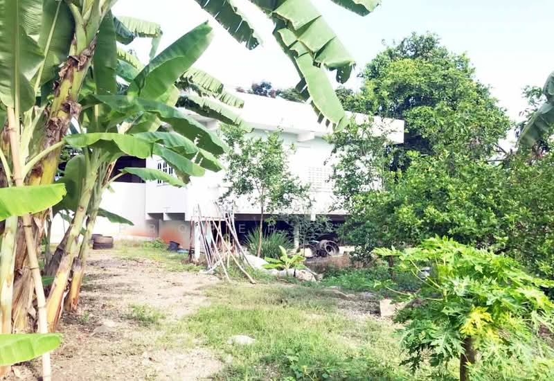 ที่ดินบางคนที สมุทรสงคราม, Samut Songkhram, Bang Krabu, Bang Khon Ti, Samut Songkhram, , 660 sqm, Land For Sale, by The Best Property อ้อ, 500350977 - DDproperty.com