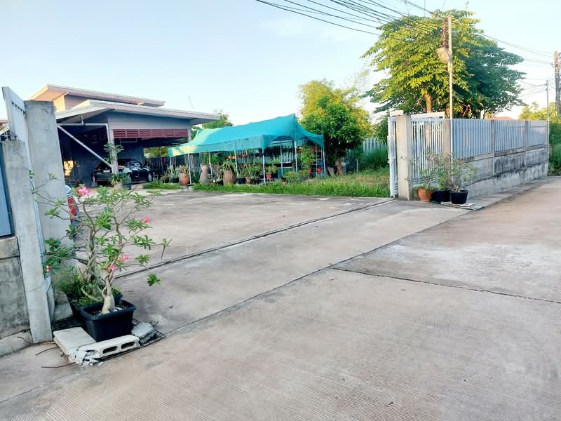 บ้านเดี่ยวพร้อมกิจการโพนพิสัย หนองคาย, Nong Khai, Chum Phon, Phon Phisai, Nong Khai, 2 Bedrooms, 200 sqm, Single Detached House For Sale, by The Best Property เป้า, 500351123 - DDproperty.com