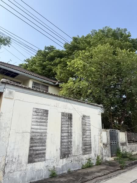 Royal Park Ville Suwinthawong, Bangkok, Suwinthawong Road, Lam Phak Chi, Nong Chok, Bangkok, 3 Bedrooms, 190 sqm, Single Detached House For Sale, by ปัญชนิดา จันทรงชัย, 500351226 - DDproperty.com