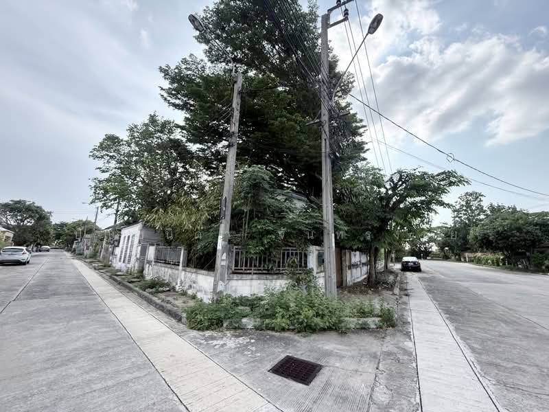 Royal Park Ville Suwinthawong, Bangkok, Suwinthawong Road, Lam Phak Chi, Nong Chok, Bangkok, 3 Bedrooms, 190 sqm, Single Detached House For Sale, by ปัญชนิดา จันทรงชัย, 500351226 - DDproperty.com