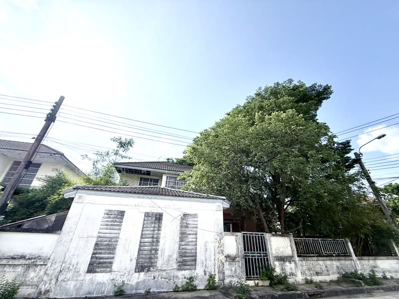 Royal Park Ville Suwinthawong : โรยัล ปาร์ค วิลล์ สุวินทวงศ์, กรุงเทพ, ถนนสุวินทวงศ์, ลำผักชี, หนองจอก, กรุงเทพ, 190 ตร.ม., บ้านเดี่ยว ขาย, โดย ปัญชนิดา จันทรงชัย, 500351226 - DDproperty.com