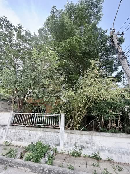 Royal Park Ville Suwinthawong, Bangkok, Suwinthawong Road, Lam Phak Chi, Nong Chok, Bangkok, 3 Bedrooms, 190 sqm, Single Detached House For Sale, by ปัญชนิดา จันทรงชัย, 500351226 - DDproperty.com