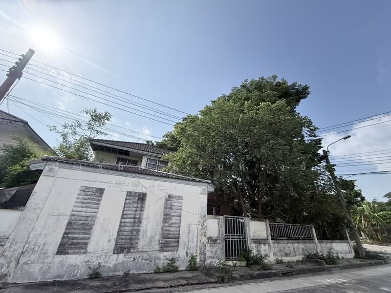 Royal Park Ville Suwinthawong : โรยัล ปาร์ค วิลล์ สุวินทวงศ์, กรุงเทพ, ถนนสุวินทวงศ์, ลำผักชี, หนองจอก, กรุงเทพ, 190 ตร.ม., บ้านเดี่ยว ขาย, โดย ปัญชนิดา จันทรงชัย, 500351226 - DDproperty.com