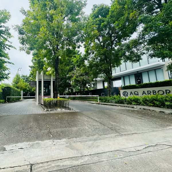 AQ ARBOR Suanluang Rama 9-Pattanakarn : เอคิว อาร์เบอร์ สวนหลวง ร.9-พัฒนาการ, กรุงเทพ, ถนนเฉลิมพระเกียรติรัชกาลที่9 ซอย 48, ดอกไม้, ประเวศ, กรุงเทพ, 240 ตร.ม., บ้านเดี่ยว ขาย, โดย AJHOMECENTER - คุณบู้, 500351355 - DDproperty.com