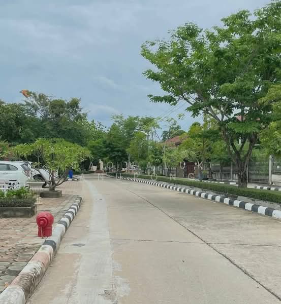 พงษ์ศิริชัย พุทธมณฑล สาย 3, กรุงเทพ, บรมราชชนนี, ศาลาธรรมสพน์, ทวีวัฒนา, กรุงเทพ, 170 ตร.ม., บ้านเดี่ยว ขาย, โดย Saowaluk Anupong, 500351462 - DDproperty.com
