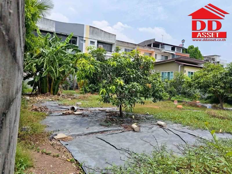 ให้เช่า ที่ดินเปล่า วิภาวดี 60 ใกล้ดอนเมือง รหัสทรัพย์ : L8064, Bangkok, Talat Bang Khen, Lak Si, Bangkok, , 388 sqm, Land For Rent, by DD Asset (Thailand) Co.,Ltd, 500351543 - DDproperty.com