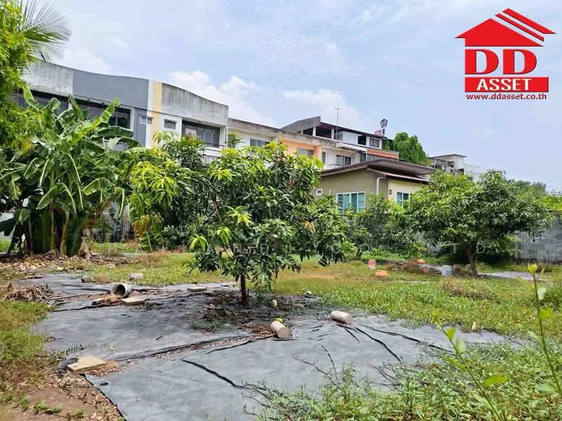 ให้เช่า ที่ดินเปล่า วิภาวดี 60 ใกล้ดอนเมือง รหัสทรัพย์ : L8064, กรุงเทพ, ตลาดบางเขน, หลักสี่, กรุงเทพ, 388 ตร.ม., ที่ดิน ให้เช่า, โดย DD Asset (Thailand) Co.,Ltd, 500351543 - DDproperty.com