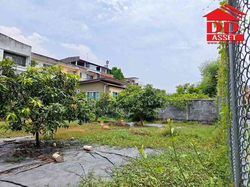 ให้เช่า ที่ดินเปล่า วิภาวดี 60 ใกล้ดอนเมือง รหัสทรัพย์ : L8064, Bangkok, Talat Bang Khen, Lak Si, Bangkok, , 388 sqm, Land For Rent, by DD Asset (Thailand) Co.,Ltd, 500351543 - DDproperty.com