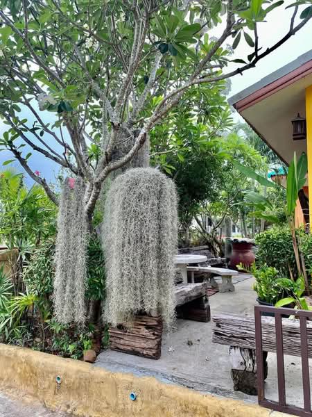 2-BR House, Prachuap Khiri Khan, Pak Nam Pran, Pran Buri, Prachuap Khiri Khan, 2 Bedrooms, 93 sqm, Single Detached House For Sale, by Chama Kamkaew, 500351572 - DDproperty.com