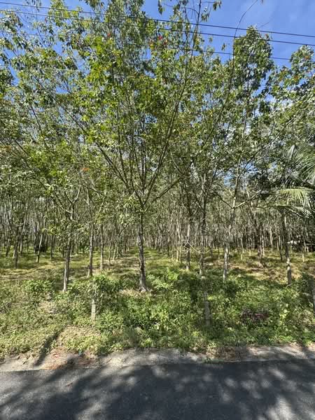 Land for sale 23.5 Rai Had Yai Soi Watchara Bin Utid, Songkhla, วัชรบินอุทิศ, Nam Noi, Hat Yai, Songkhla, , 37,572 sqm, Land For Sale, by พัชราภรณ์ ไทยเพิ่มพูล, 500351600 - DDproperty.com
