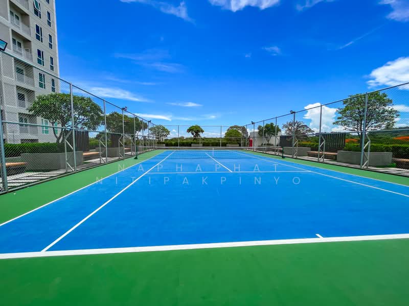Del Mare Bangsaray Beachfront : เดลมาเล่ย์ บางเสร่ บีชฟรอนท์, ชลบุรี, นาจอมเทียน 56, บางเสร่, สัตหีบ, ชลบุรี, 42 ตร.ม., คอนโด ให้เช่า, โดย Naphaphat Nitipakpinyo, 500351684 - DDproperty.com