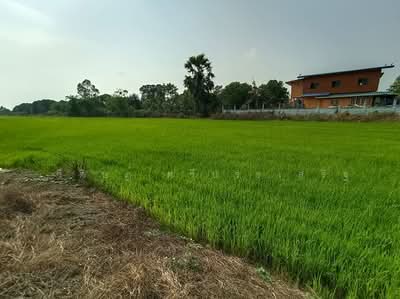 ขาย - พระนครศรีอยุธยา, พระนครศรีอยุธยา