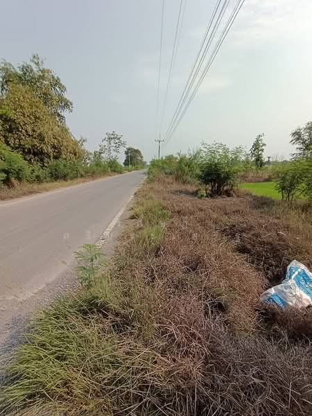 พระนครศรีอยุธยา, Phra Nakhon Si Ayutthaya, Pak Kran, Phra Nakhon Sri Ayutthaya, Phra Nakhon Si Ayutthaya, , 9,536 sqm, Land For Sale, by WISIT SRIPRASERT, 500351834 - DDproperty.com