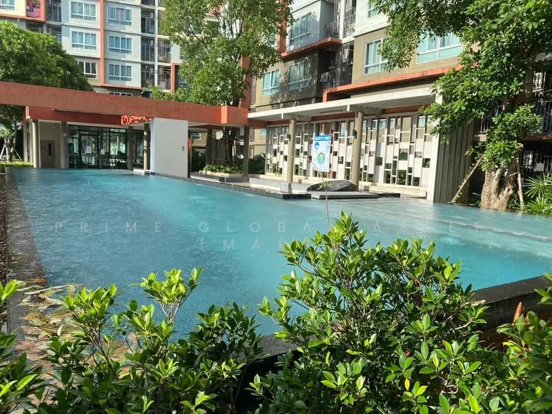 Dcondo Kathu-Patong : ดีคอนโด กะทู้-ป่าตอง, ภูเก็ต, ถนนวิชิตสงคราม, กะทู้, ภูเก็ต, 30 ตร.ม., คอนโด ให้เช่า, โดย Prime Global Asset (Mark), 500351930 - DDproperty.com