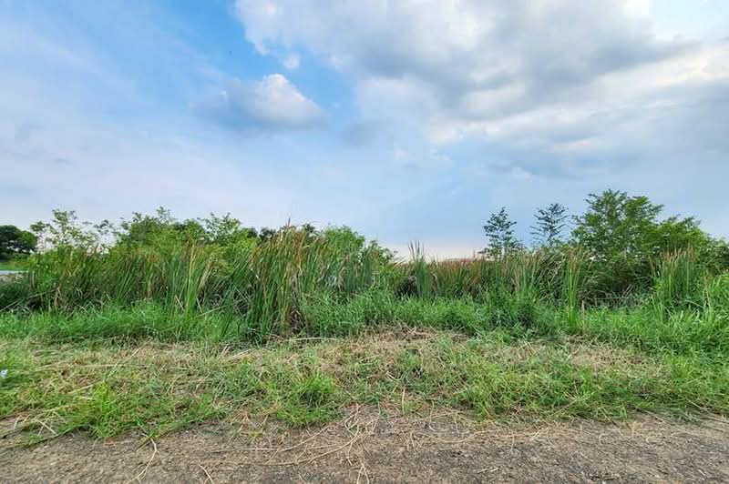 ซอยคลองสี่ตะวันตก คลองหลวง, Pathum Thani, ถนนรังสิต-นครนายก, Khlong Si, Khlong Luang, Pathum Thani, , 1,300 sqm, Land For Sale, by คุณมิว, 500351990 - DDproperty.com