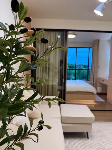 Centrio Condominium, Phuket, Wichit Songkhram, Kathu, Phuket, 1 Bedroom, 31 sqm, Condo For Sale, by Prime Global Asset ( Bom ), 500352005 - DDproperty.com