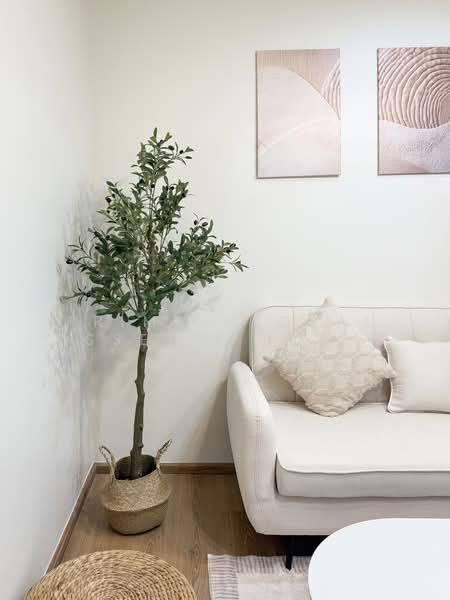 Centrio Condominium : เซนทริโอ คอนโดมิเนียม, ภูเก็ต, วิชิตสงคราม, กะทู้, ภูเก็ต, 31 ตร.ม., คอนโด ขาย, โดย Prime Global Asset ( Bom ), 500352005 - DDproperty.com