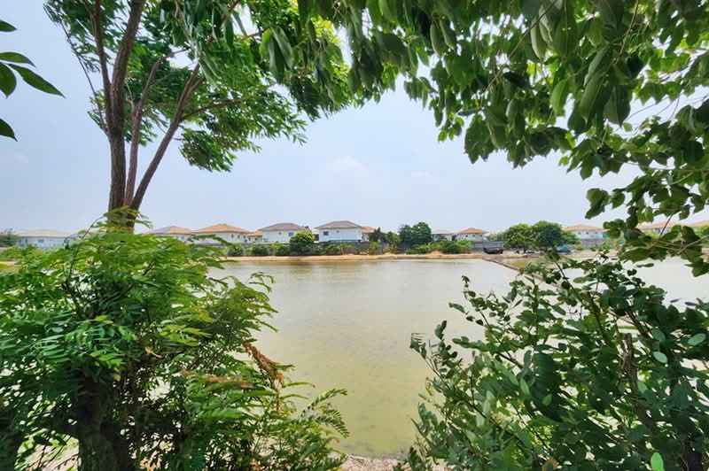 วัดลาดปลาดุก บางคูรัด บางบัวทอง, นนทบุรี, ถนนวัดลาดปลาดุก, บางคูรัด, บางบัวทอง, นนทบุรี, 1,600 ตร.ม., ที่ดิน ขาย, โดย คุณมิว, 500352043 - DDproperty.com