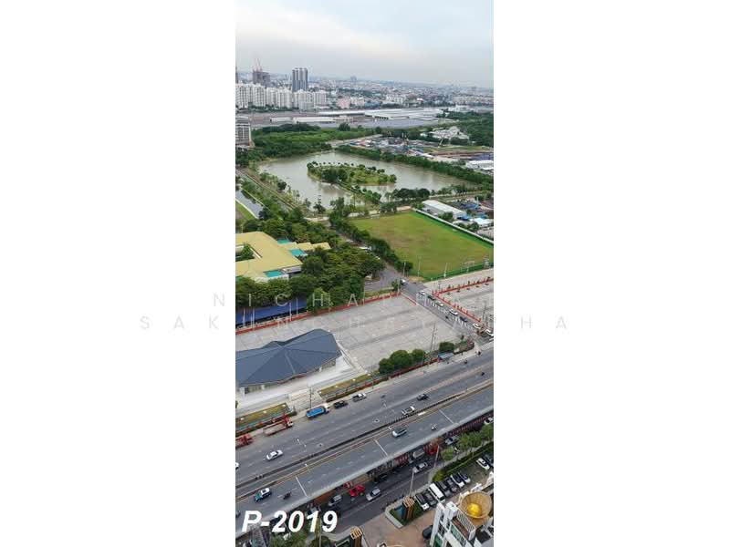 TC Green Rama 9, Bangkok, Rama 9 Road, Huai Khwang, Bangkok, Studio, 30 sqm, Condo For Rent, by Nichaphat Sakunchayapha, 500352122 - DDproperty.com