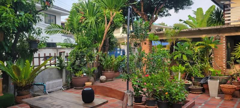 ขายบ้านหลังมุมที่ดิน 121 ตรว. ซ.นวมินทร์ 70, Bangkok, นวมินทร์ 70, Khlong Kum, Bueng Kum, Bangkok, 4 Bedrooms, 240 sqm, Single Detached House For Sale, by พัชราภรณ์ ไทยเพิ่มพูล, 500352195 - DDproperty.com