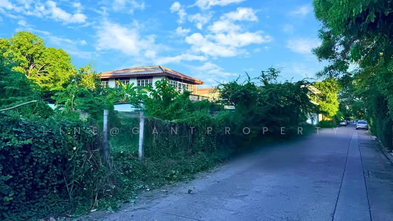 ที่ดิน ซ.ประชาชื่นนนทบุรี2แยก4, Nonthaburi, ประชาชื่นนนทบุรี, Bang Khen, Muang Nonthaburi, Nonthaburi, , 416 sqm, Land For Sale, by Line@GantProperty, 500352252 - DDproperty.com