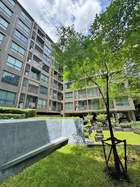 The Tree Sukhumvit 64, Bangkok, Soi Sukhumvit 64, Bang Chak, Phra Khanong, Bangkok, 1 Bedroom, 42 sqm, Condo For Sale, by The Best Property เก๋, 500352307 - DDproperty.com