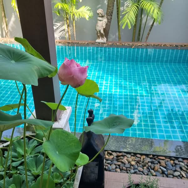 ราไวย์, ภูเก็ต, ราไวย์, เมืองภูเก็ต, ภูเก็ต, 408 ตร.ม., วิลล่า ขาย, โดย Diss, 500352357 - DDproperty.com