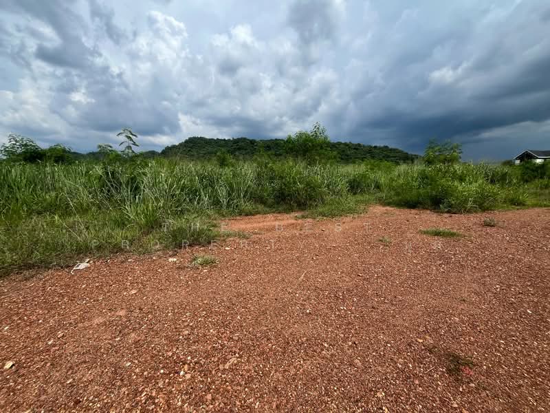 ที่ดินปากช่อง นครราชสีมา, นครราชสีมา, ขนงพระ, ปากช่อง, นครราชสีมา, 6,568 ตร.ม., ที่ดิน ขาย, โดย The Best Property นุ๊ก, 500352450 - DDproperty.com