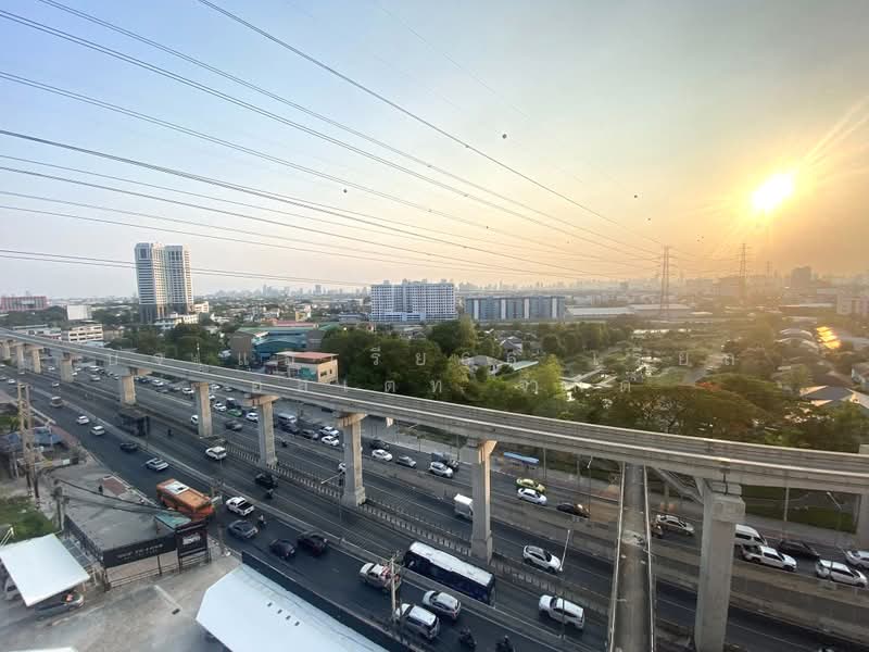 Asakan Place Srinakarin : อัสสกาญจน์ เพลส ศรีนครินทร์, กรุงเทพ, 617 ถนนศรีนครินทร์, สวนหลวง, กรุงเทพ, 29 ตร.ม., คอนโด ขาย, โดย บจ.แอเรีย66 เรียล เอสเตท จำกัด, 500352465 - DDproperty.com