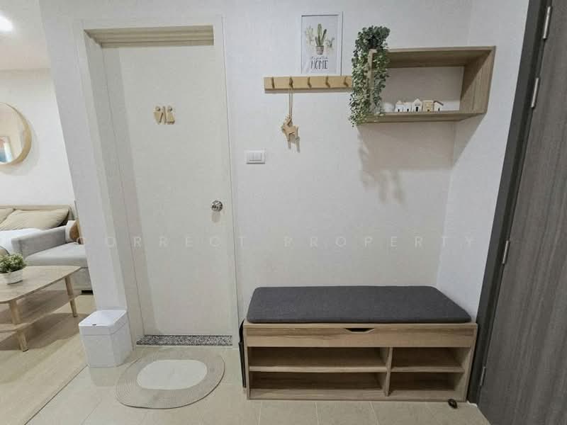 Supalai Veranda Sukhumvit 117 : ศุภาลัย เวอเรนด้า สุขุมวิท 117, สมุทรปราการ, ถ. สุขุมวิท 117, บางเมืองใหม่, เมืองสมุทรปราการ, สมุทรปราการ, 29 ตร.ม., คอนโด ให้เช่า, โดย Correct Property, 500352500 - DDproperty.com