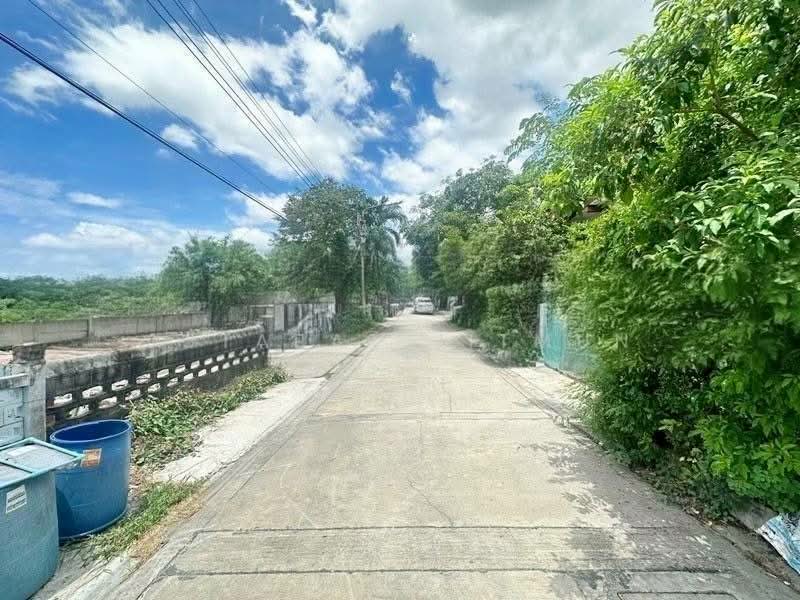 ที่ดินเปล่า ซอยบางนา-ตราด 38, Bangkok, Bang Na, Bangkok, , 524 sqm, Land For Sale, by Jutarat Jitmun, 500352501 - DDproperty.com