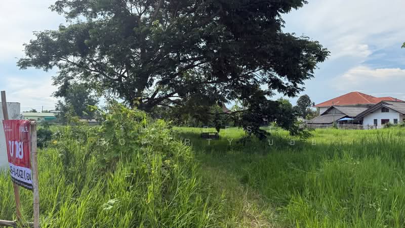 ที่ดินดอยสะเก็ด เชียงใหม่, Chiang Mai, Talat Kwan, Doi Saket, Chiang Mai, , 1,532 sqm, Land For Sale, by The Best Property บอย, 500352504 - DDproperty.com