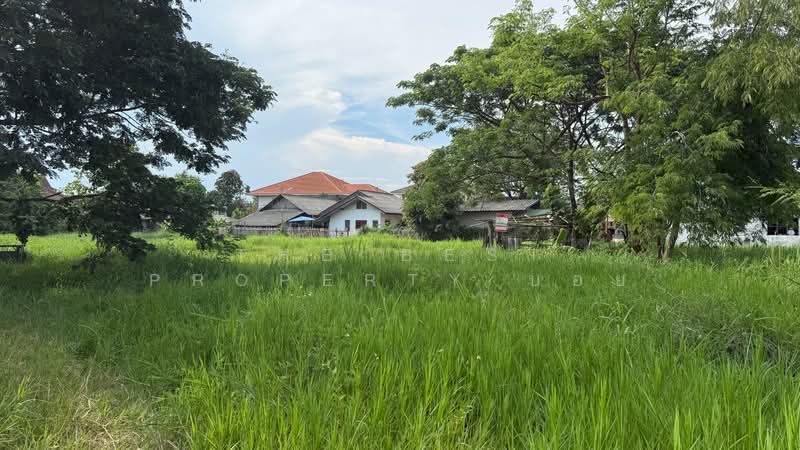 ที่ดินดอยสะเก็ด เชียงใหม่, เชียงใหม่, ตลาดขวัญ, ดอยสะเก็ด, เชียงใหม่, 1,532 ตร.ม., ที่ดิน ขาย, โดย The Best Property บอย, 500352504 - DDproperty.com