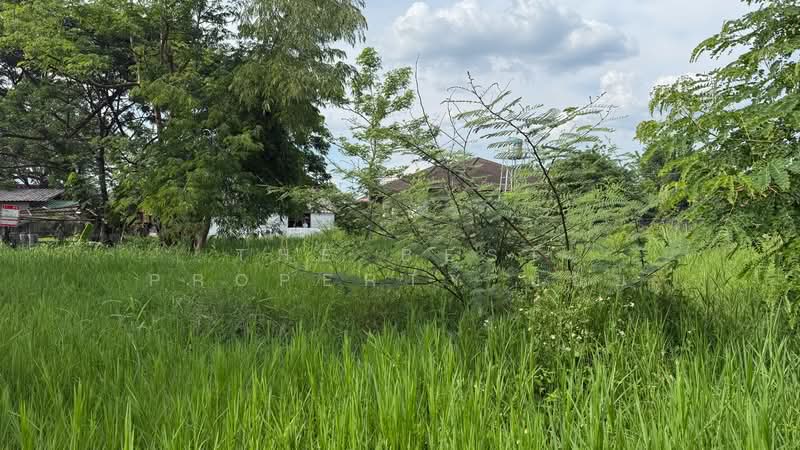 ที่ดินดอยสะเก็ด เชียงใหม่, Chiang Mai, Talat Kwan, Doi Saket, Chiang Mai, , 1,532 sqm, Land For Sale, by The Best Property บอย, 500352504 - DDproperty.com