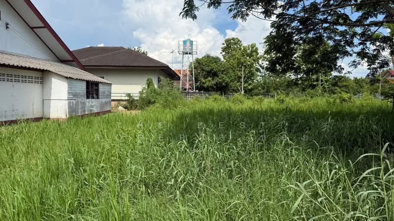 ที่ดินดอยสะเก็ด เชียงใหม่, Chiang Mai, Talat Kwan, Doi Saket, Chiang Mai, , 1,532 sqm, Land For Sale, by The Best Property บอย, 500352504 - DDproperty.com