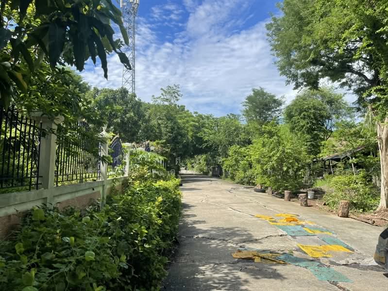 ที่ดินเปล่า 1 ไร่ 120 ตร.ว. ที่ดิน หมู่บ้านสินธนา นวมินทร์50, กรุงเทพ, ถนนนวมินทร์, คลองกุ่ม, บึงกุ่ม, กรุงเทพ, 2,080 ตร.ม., ที่ดิน ขาย, โดย คุณ สุภัตรา พลอยแดง (แพร), 500352556 - DDproperty.com