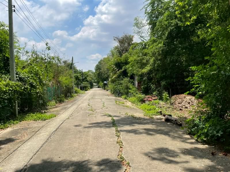 ที่ดินเปล่า 226 ตร.ว. หมู่บ้านสินธนา นวมินทร์50, Bangkok, ถนนนวมินทร์, Khlong Kum, Bueng Kum, Bangkok, , 904 sqm, Land For Sale, by คุณ สุภัตรา พลอยแดง (แพร), 500352573 - DDproperty.com