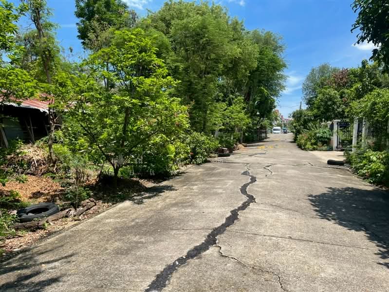 ที่ดินเปล่า 226 ตร.ว. หมู่บ้านสินธนา นวมินทร์50, กรุงเทพ, ถนนนวมินทร์, คลองกุ่ม, บึงกุ่ม, กรุงเทพ, 904 ตร.ม., ที่ดิน ขาย, โดย คุณ สุภัตรา พลอยแดง (แพร), 500352573 - DDproperty.com